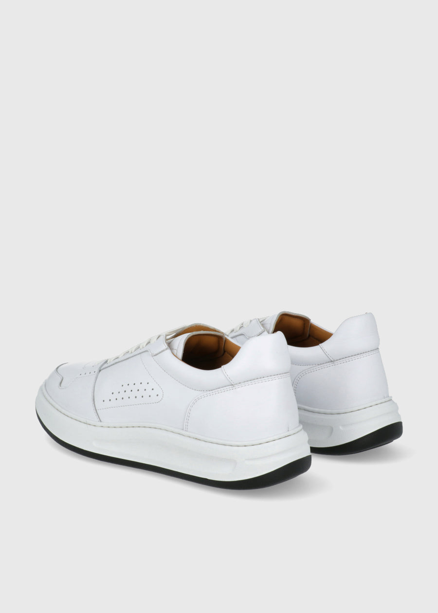 Magnanni Sneakers  MGN-25861