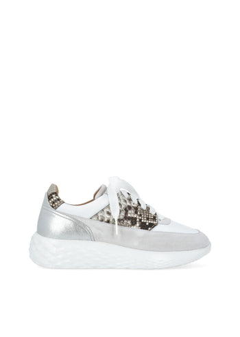 Magnanni Sneakers  MGN-ZD24259