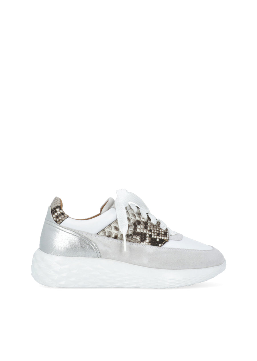 Magnanni Sneakers  MGN-ZD24259