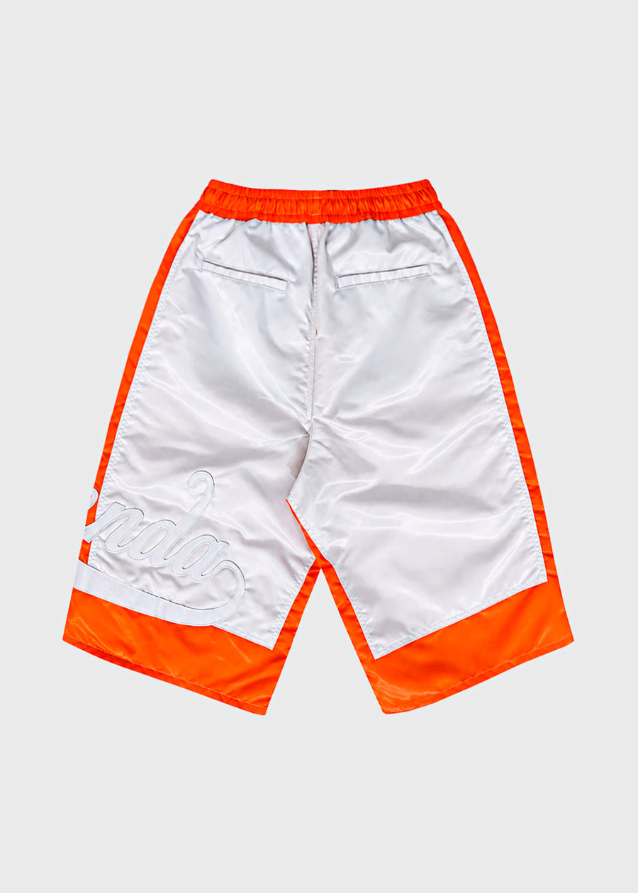 PDF CHANNEL Shorts PDF-DFM03044